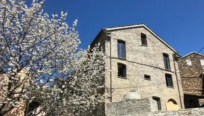 a building with a flowering tree in front of it at Superbe maison dans village au coeur de la Corse A casa Suttana in Verdese