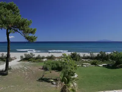a view of a beach with a tree and the ocean at Holiday Home Studio cabine Type B by Interhome in Borgo
