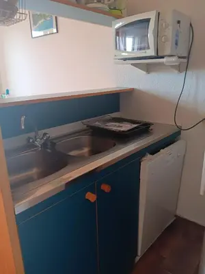 a small kitchen with a sink and a microwave at Appartement cosy à Grosseto-Prugna - Vue sur la mer, 42 m² in Grosseto-Prugna