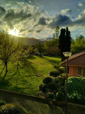 a view of a yard with trees and a house at MORIANI STUDIO CABINE CLIMATISE 4 à 5 pers in San-Nicolao
