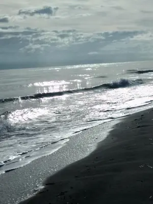 a black and white photo of a beach with the ocean at Un Nid Douillet en bord de plage !! in Lucciana