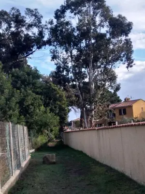 a fence in front of a yard with trees at Un Nid Douillet en bord de plage !! in Lucciana