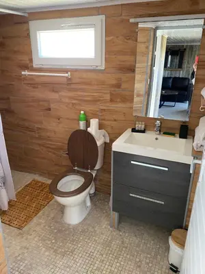 a bathroom with a toilet and a sink and a mirror at L ASCOSU in Ventiseri