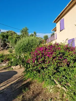 a bush of pink flowers in front of a building at L'ortu di Quaprice in Figari