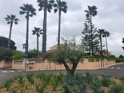 a street with palm trees and a fence with flowers at Villa les palmiers -Stretta di i mandarini in Lucciana