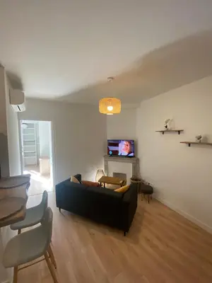 a living room with a black couch and a tv at F2 Glamour Centre ville historique in Ajaccio