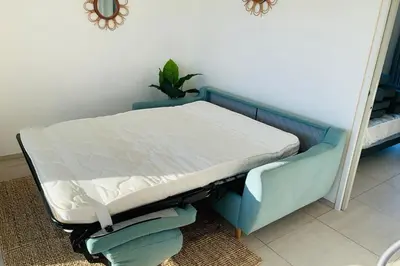 a hospital bed in a room with a plant on it at apart Levante shared swimming pool bbq in Calenzana