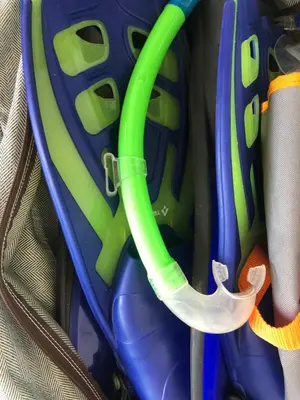 a green hose sticking out of a backpack at Superbe appartement sur le port, jacuzzi, piscine in Porto-Vecchio