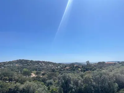 a view from the top of a hill with trees at Villa Marcaléone Corse du Sud in Cirendinu