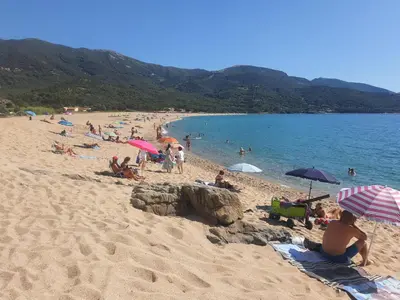 a group of people on a beach with umbrellas at Apartment Liscia sea view, restaurant and supermarket 50m in Calcatoggio