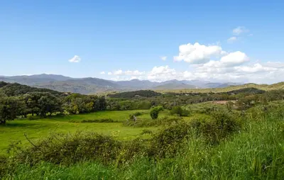 a field of grass with mountains in the background at U Caseddu Di Minnana in Petreto-Bicchisano
