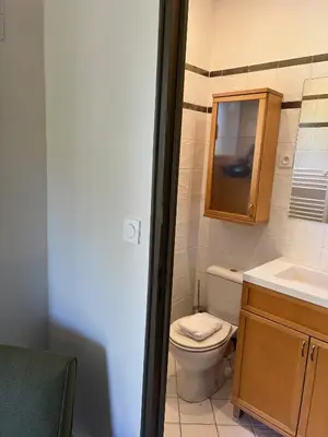 a bathroom with a toilet and a sink and a mirror at Appartements St. Pancrace in Corte