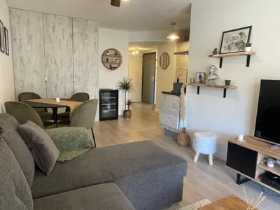 a living room with a couch and a tv at Charmant T2 proche de la plage et au calme in Ajaccio