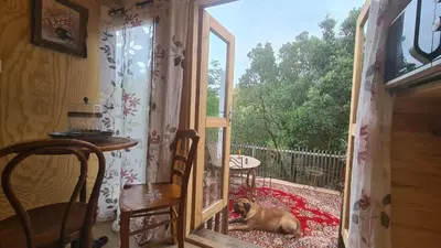 a dog laying on a rug in a room with a window at La roulotte au coeur du maquis in Carbuccia