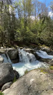 a river with snow on the rocks and trees at Belle maison de montagne proche Ajaccio in Bastelica