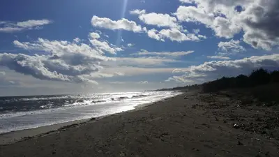 a beach with a cloudy sky and the ocean at Mobil-Home dans lotissement très tranquille in Vescovato
