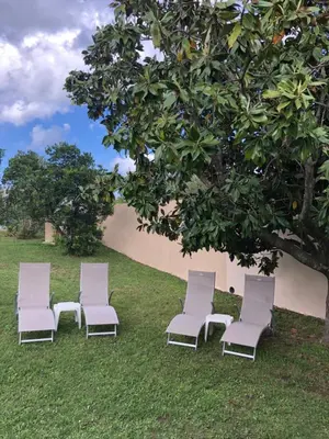 a group of chairs sitting in the grass under a tree at Butia in San-Giovanni