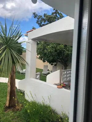 a white fence with a palm tree and chairs at Butia in San-Giovanni