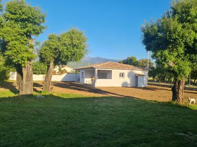 a white house with trees in front of it at Location 