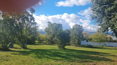 a field with trees and a building in the background at Location 