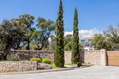 a stone fence and two trees in front of a building at Résidence Domaine d'Arca Porto Vecchio - T2 haut standing - 4 personnes 