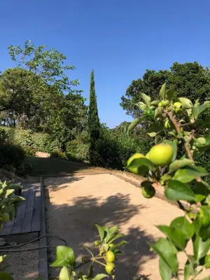 a dirt path with trees and a blue sky at Casa Mathilde in Lecci