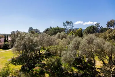 a field of trees with a house in the background at Domaine d'Arca - Aragon 11 - 4 pers - « Au jardin d'Arca » in Porto-Vecchio
