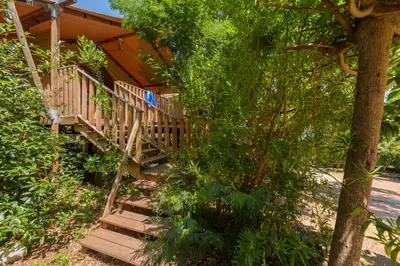 a wooden staircase leading to a house with trees at Camping U Pirellu in Porto-Vecchio