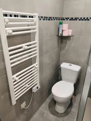 a small bathroom with a toilet and some towels at Porticcio très joli T2 climatisé & grande terrasse à 1km de la plage in Porticcio