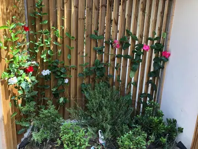 a wooden fence with flowers and plants at La Verda in Bonifacio