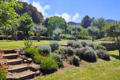 a garden with stairs and plants in a park at CASA di u cuginu in Calenzana