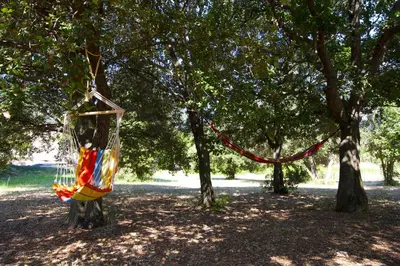 a hammock hanging from a tree in a park at CASA di u cuginu in Calenzana