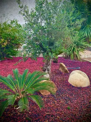 a garden with red flowers and a tree and rocks at Campo Vecchio Dracena et Piscine in Ghisonaccia
