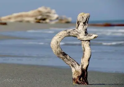 a branch in the shape of a heart on a beach at Campo Vecchio Dracena et Piscine in Ghisonaccia