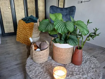 a table with plants and a candle and a chair at Mare è rocca in Bonifacio