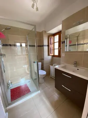 a bathroom with a shower and a toilet and a sink at Les Canali in Santo-Pietro-di-Tenda