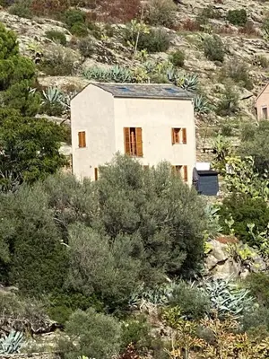 a small white house on a hill with bushes at Les Canali in Santo-Pietro-di-Tenda