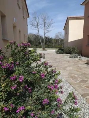 a bunch of pink flowers next to a building at Appartement T2 dans résidence avec piscine in Moriani Plage