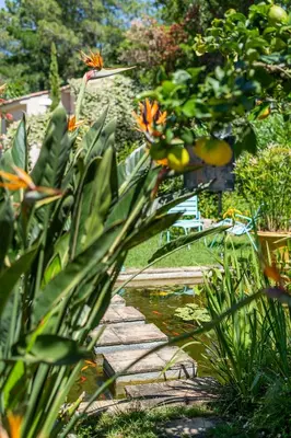 a garden with a path and flowers and a pond at Casa del Sole Chambres d'Hotes de Charme in Favone
