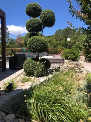 a garden with trees and bushes and grass at Pleasant private villa Located in a garden of 8000m2 with trees in Porto-Vecchio
