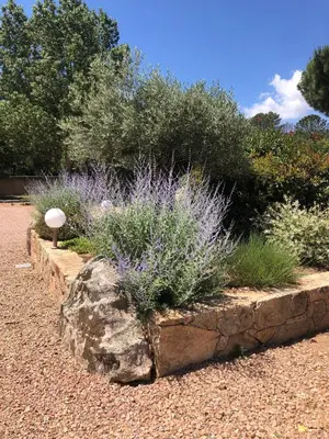 a garden with purple plants and a rock at Pleasant private villa Located in a garden of 8000m2 with trees in Porto-Vecchio