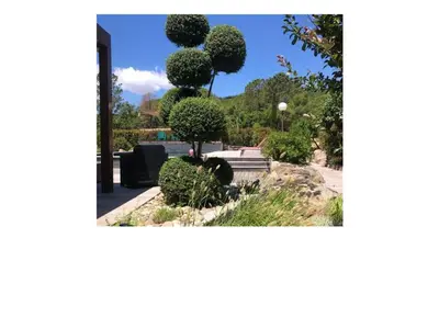 a view of a garden with trees and bushes at Pleasant private villa Located in a garden of 8000m2 with trees in Porto-Vecchio