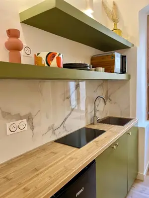 a kitchen with a sink and green cabinets at studio d'architecte superieur - centre ville historique in Ajaccio
