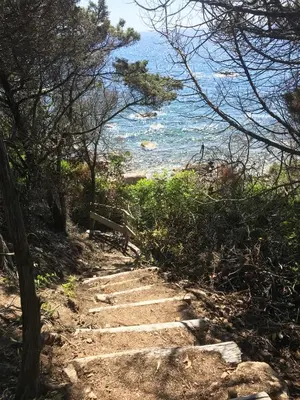a path leading up to a beach with the ocean at Domaine de la Coletta Maison traditionnelle in Coti-Chiavari