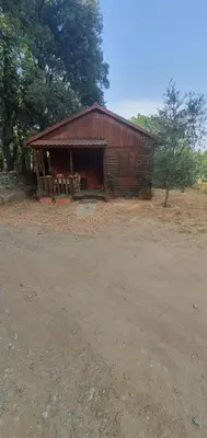 a small wooden cabin in a field with trees at Chalet de Santa in Corte