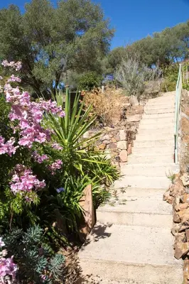 a set of stairs with flowers on a hill at Appartements A Merendella in Serriera