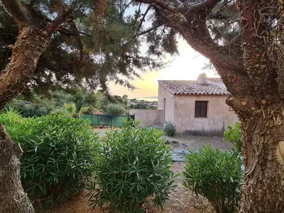 a house in the middle of a yard with a tree at Studio avec terasse vue mer in Porticcio