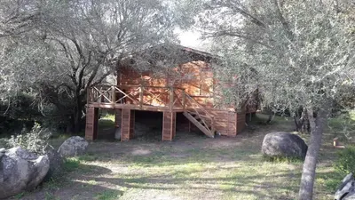 a log cabin in the woods with a wooden staircase at chalets bois 150m de la plage in Olmeto