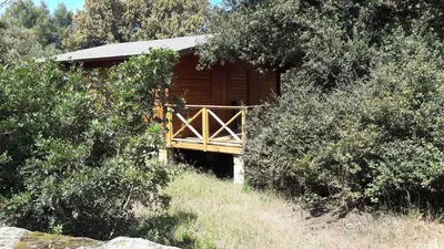 a cabin with a wooden porch in the woods at chalets bois 150m de la plage in Olmeto