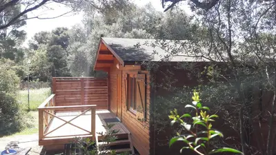 a small wooden cabin with a porch and a gate at chalets bois 150m de la plage in Olmeto